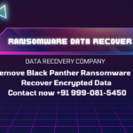 Black Panther Ransomware Data Recovery and Data Decrypt Services